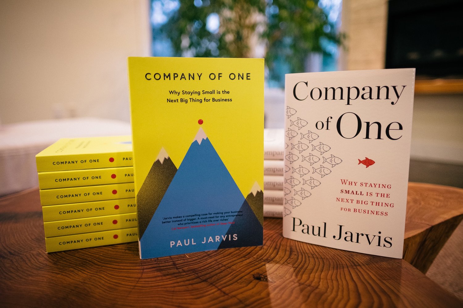 Company of One by Paul Jarvis ><